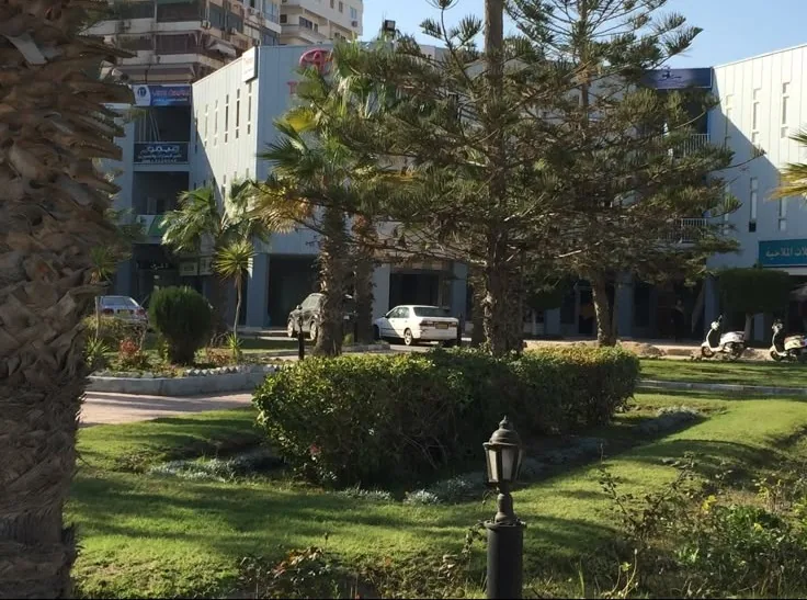 Moussa Shipping head office in Port Said