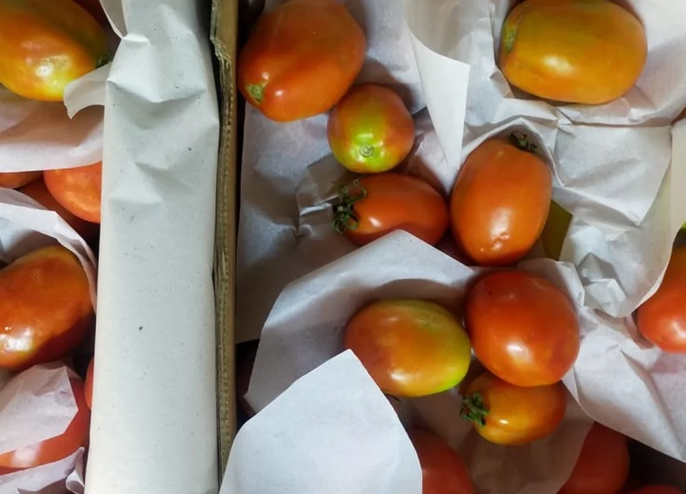 Fresh tomatoes packed for a vessel provision order