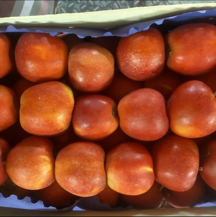 Fresh vessel provisions prepared for delivery