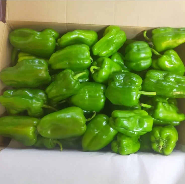 Quality food products for vessel crews