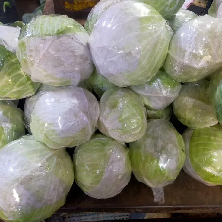 Assorted provisions packed for marine supply