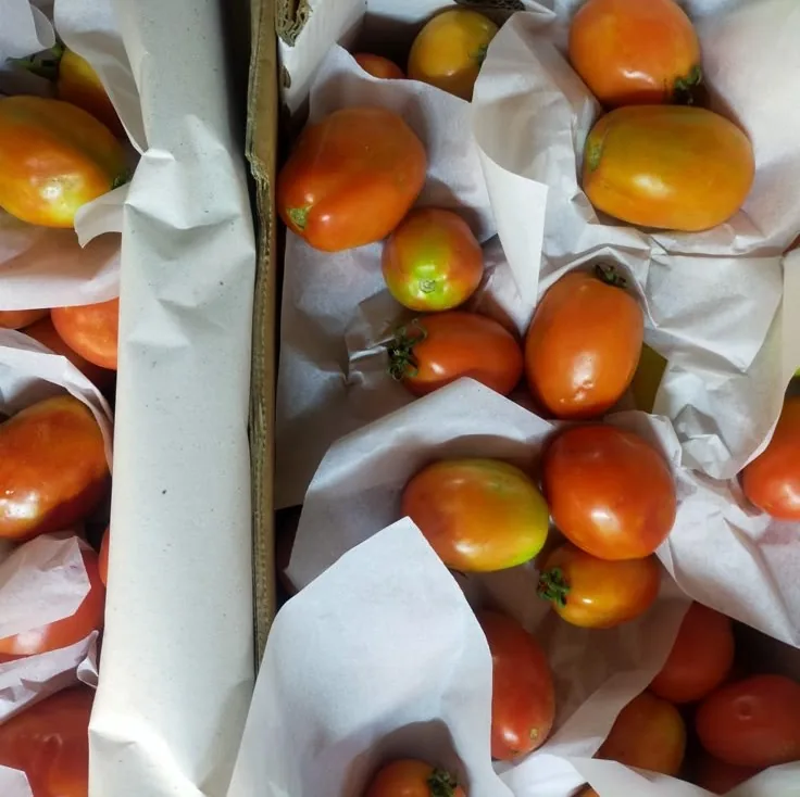 Fresh and dry stores ready for a vessel